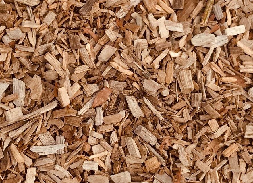 blogue paillis de cèdre