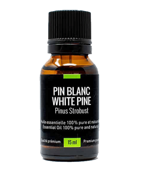 huile essentielle pin blanc