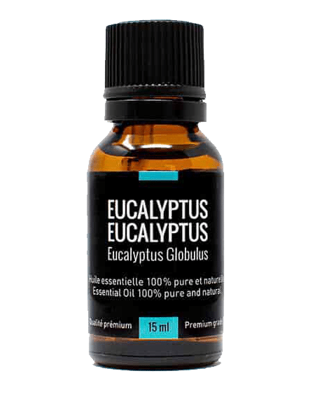 huile essentielle eucalyptus