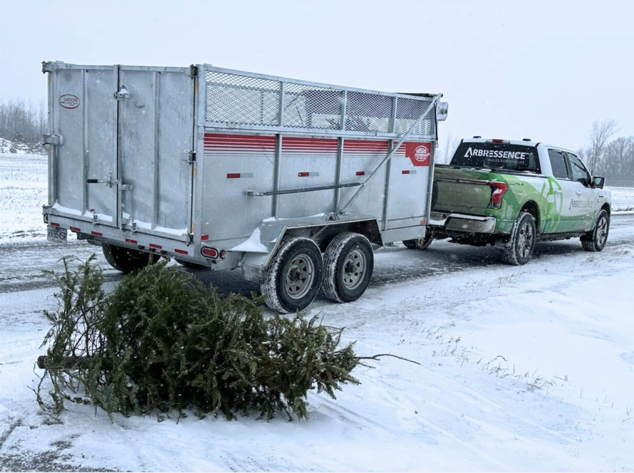 Un camion Arbressence collecte les sapins de Noël naturels de la Rive-Nord de Montréal